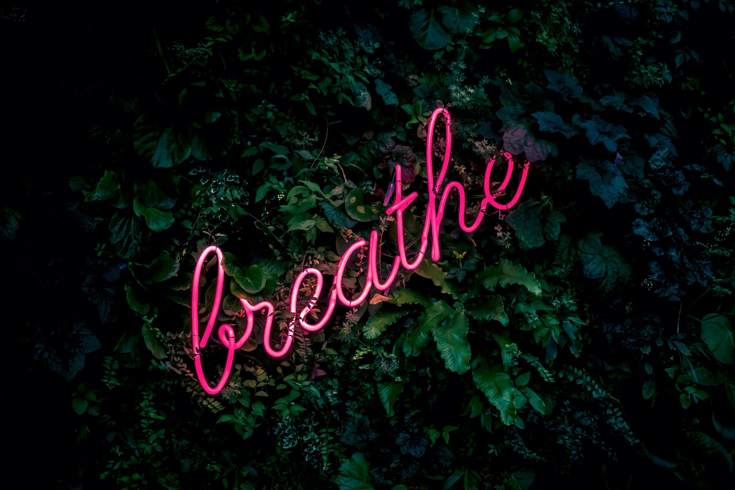 Le Breathwork, pour quoi faire?